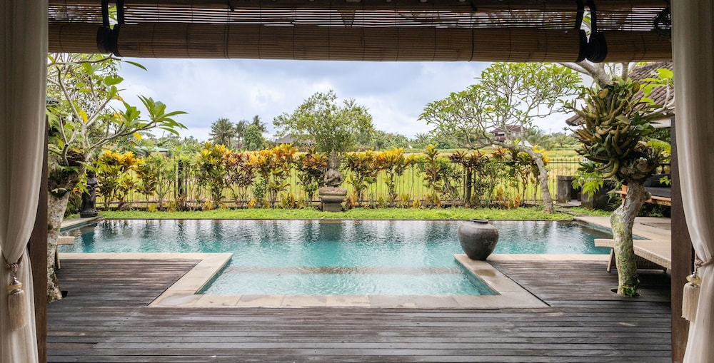 Devi's Place 29/50