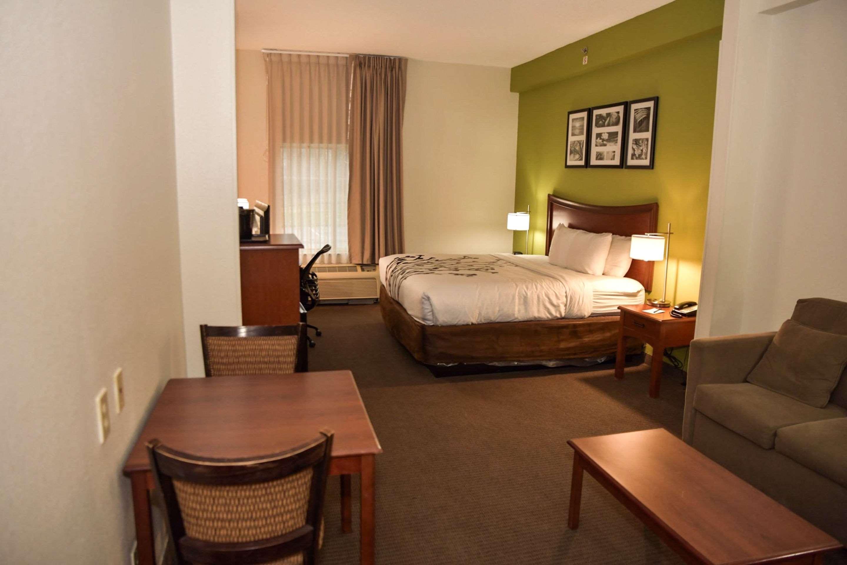 Upgrade, Suite, King Bed
