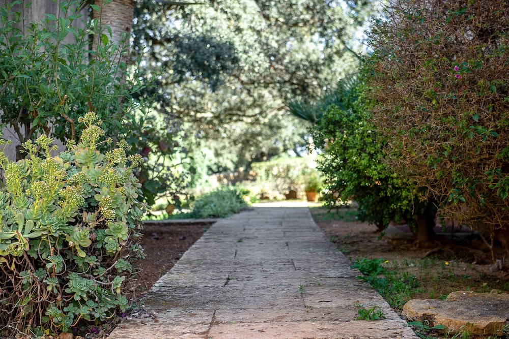 Finca Sos Ferres D'en Morey 45/50