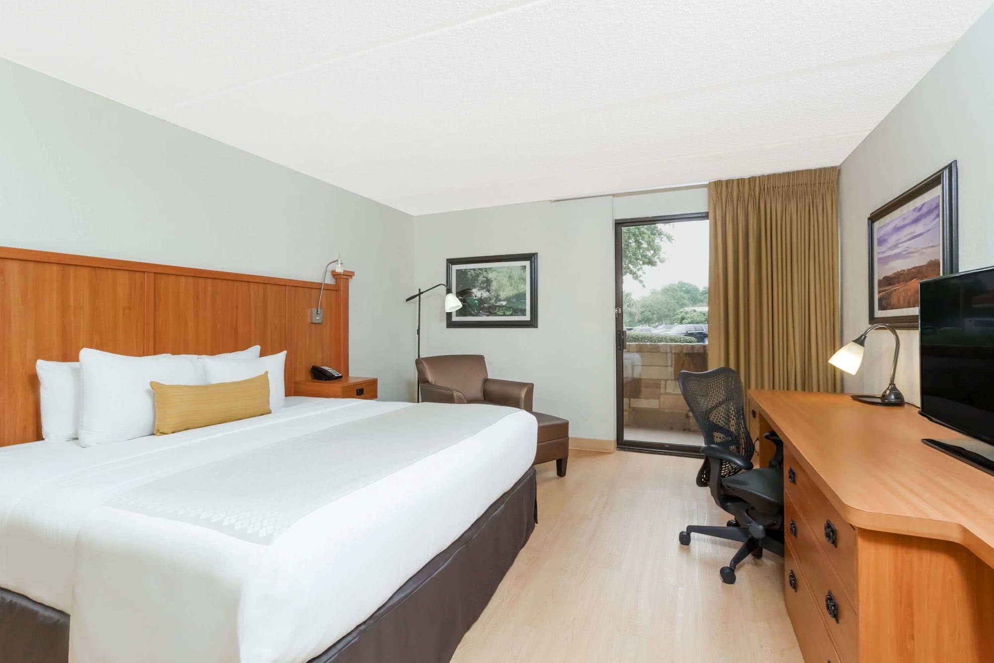Room at Wyndham Garden Austin, AUSTIN - TX