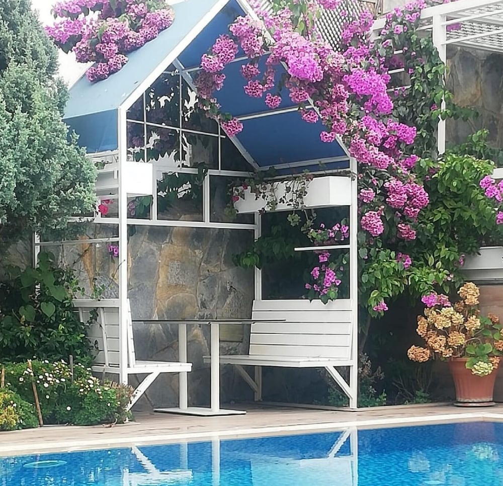 Ascot Hotel 7/50
