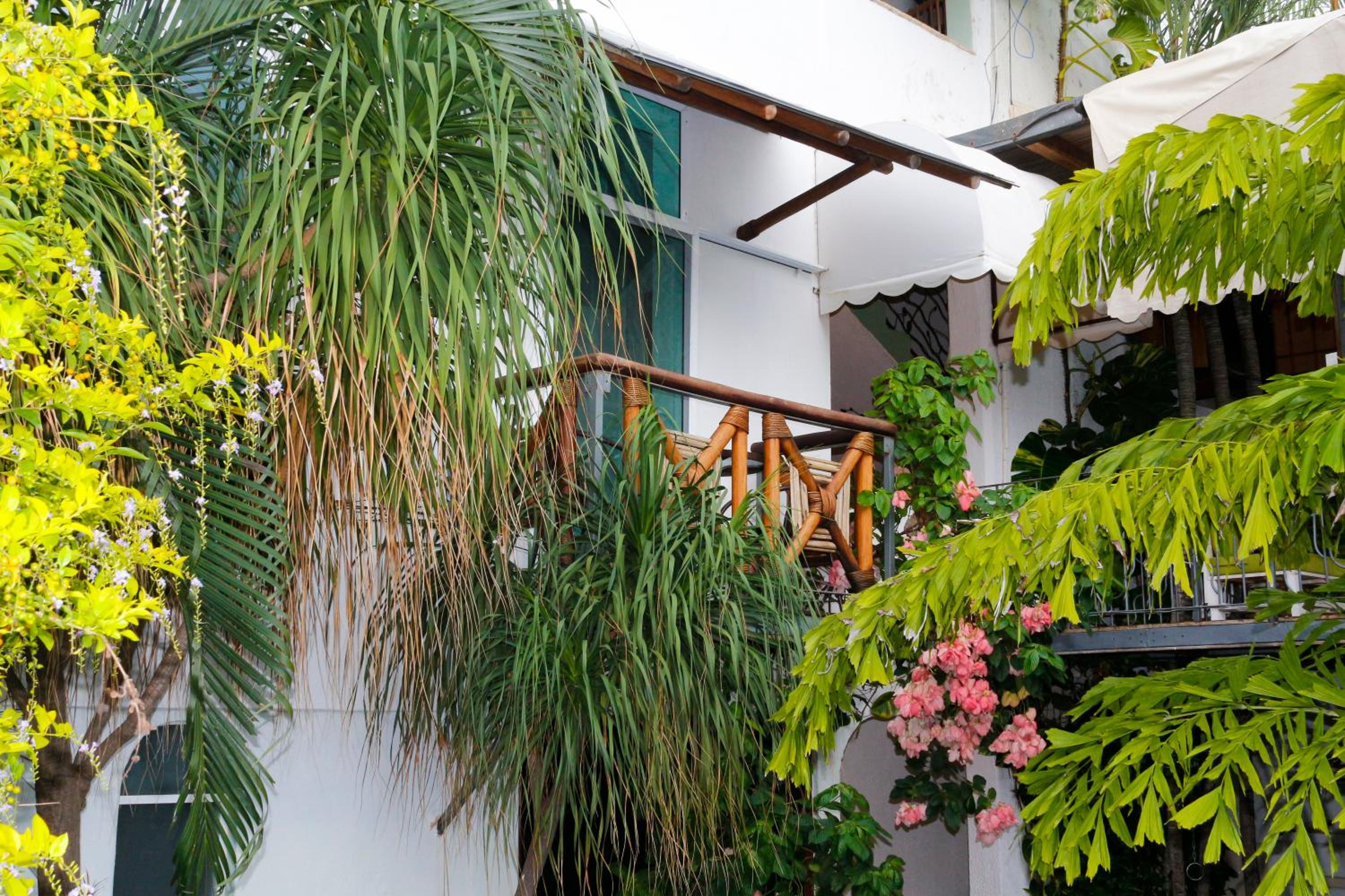 Hotel Careyes Puerto Escondido 45/50