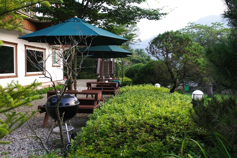 Starvill Pension 44/50