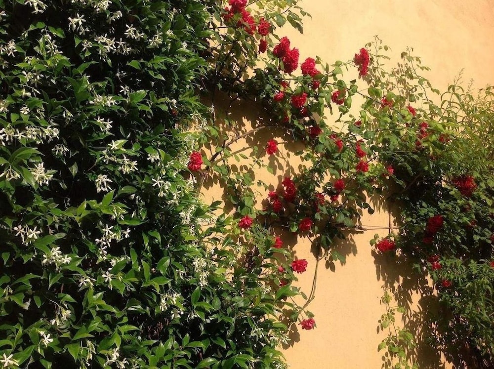Albergo Giardinetto 9/17