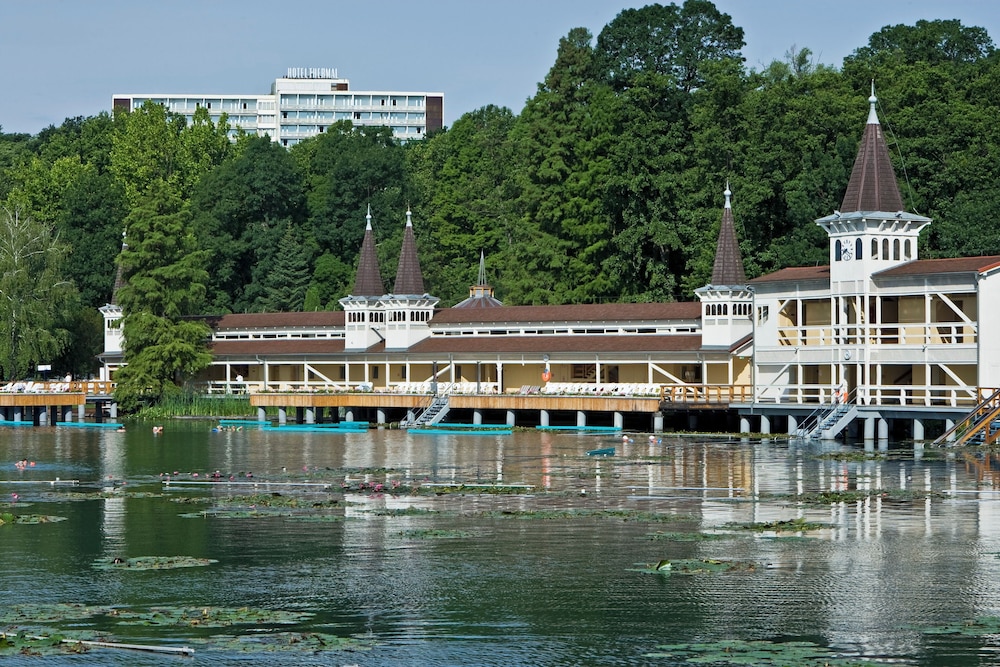 Danubius Health Spa Resort Heviz 65/71