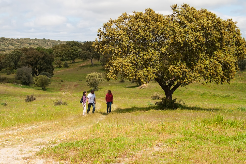 Casas de Romaria of Brotas Mora 30/33