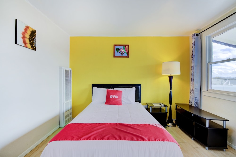 Rose's Motel 14/50