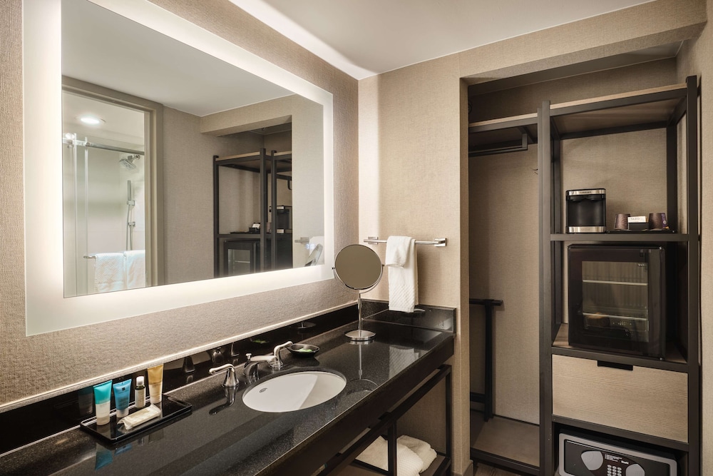 Hilton Richardson Dallas 15/53