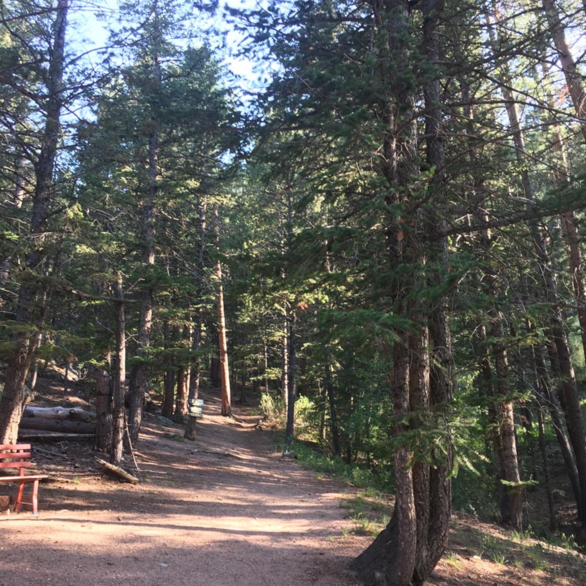 Pine Haven Resort 47/50