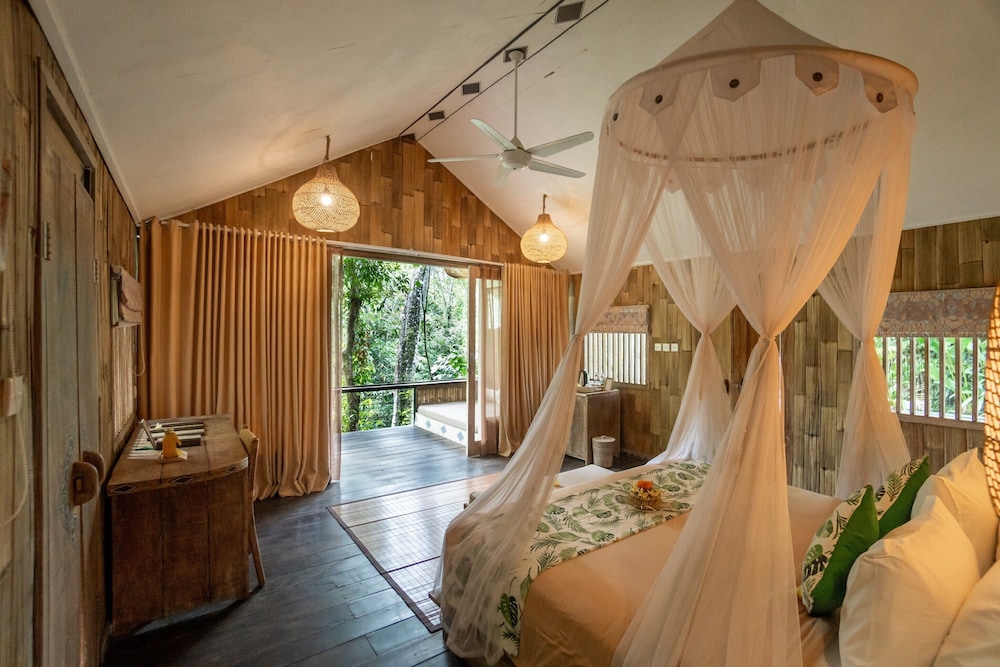 JUNGLE, LODGE, SUITE