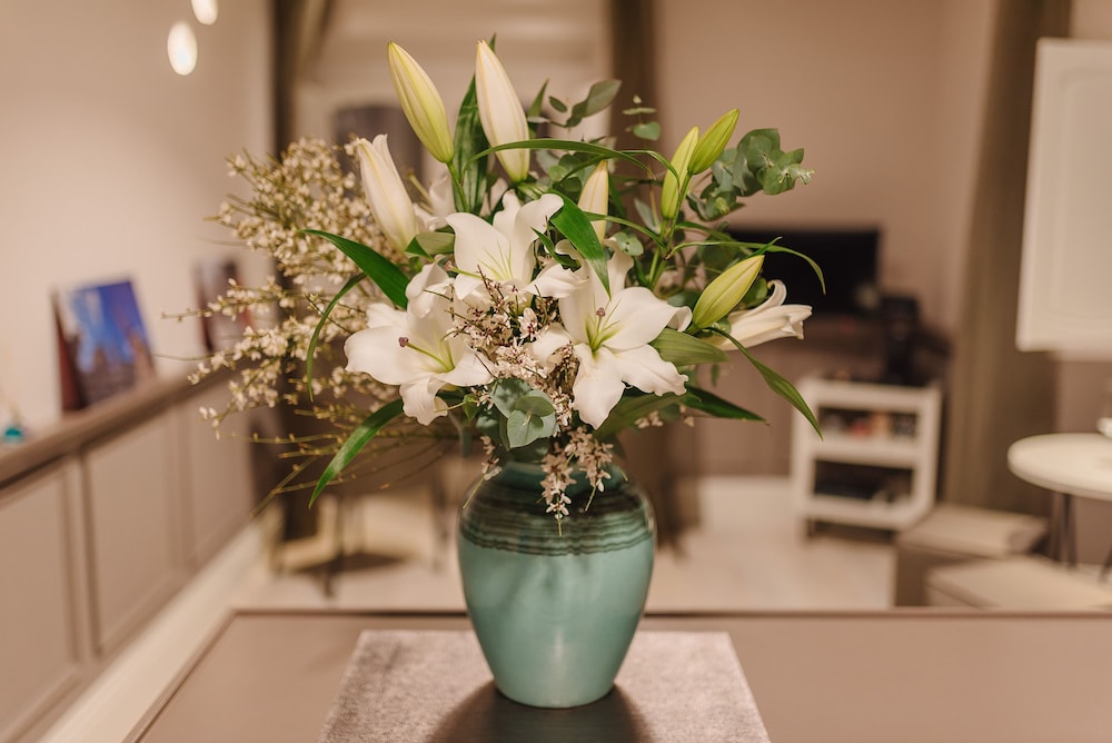 Rhea Silvia Luxury Navona 27/50