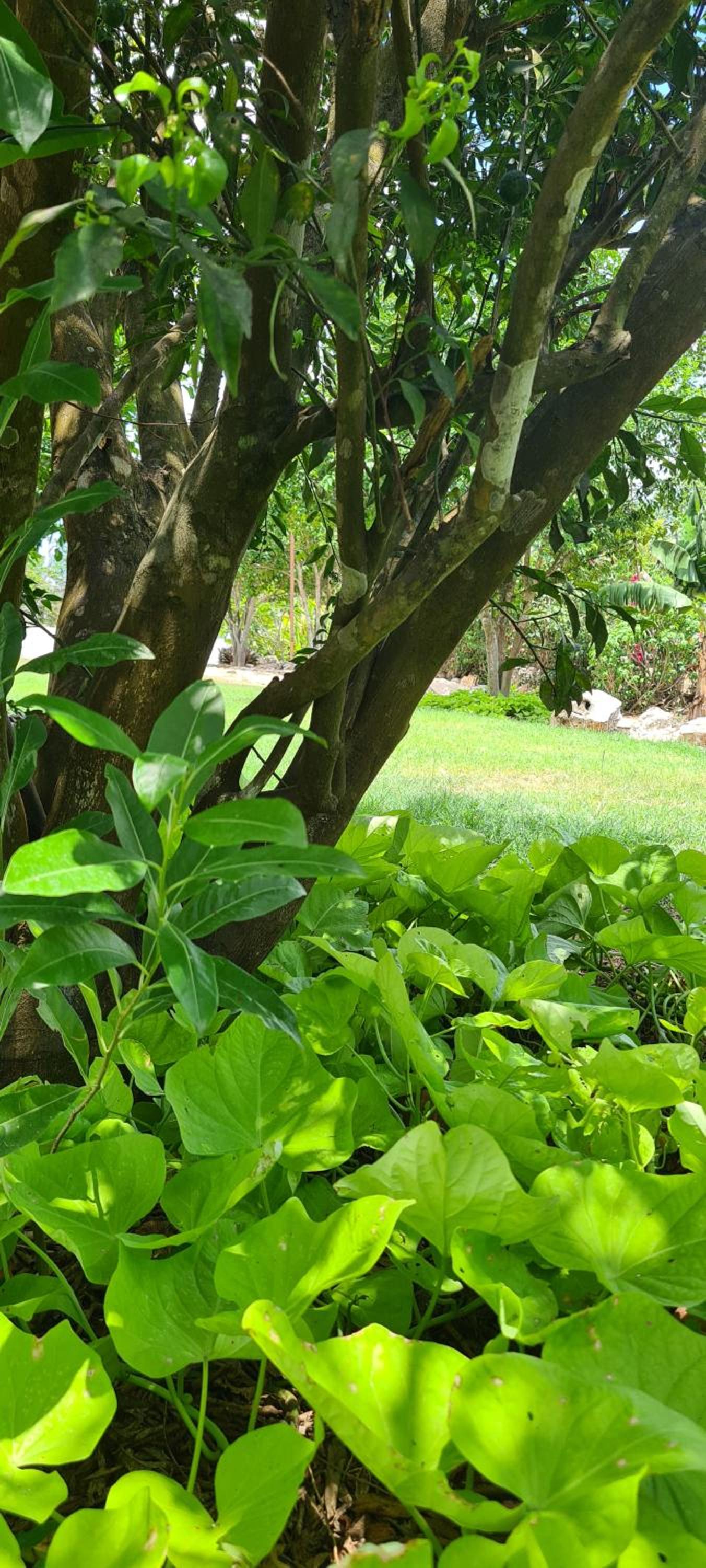 Hotel Quinta Izamal 46/50