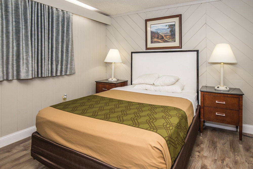 Chalet Inn 19/62