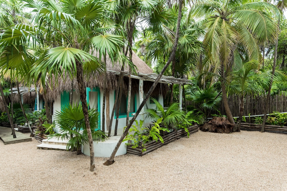 Cormoran Hotel Boutique & Cenote 19/48