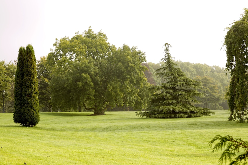 Moyvalley Hotel and Golf Resort 16/37