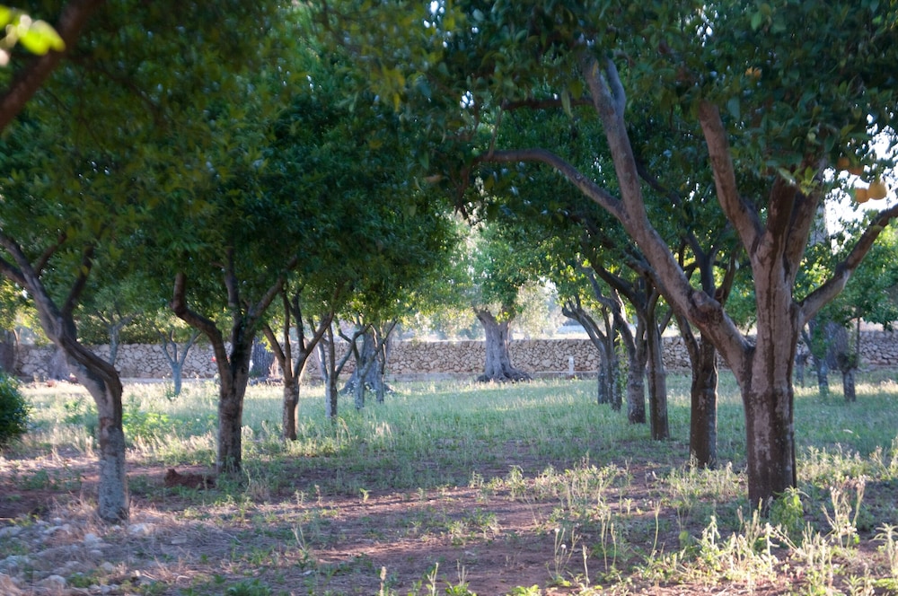 Agriturismo Villa Coluccia 40/50