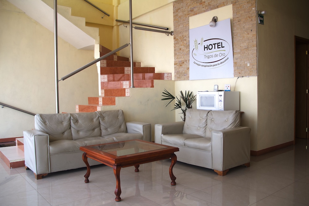 OYO Hotel Trigos De Oro San Luis Teolocholco Park 30/42