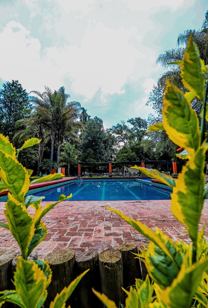 El Marques Hacienda 66/71
