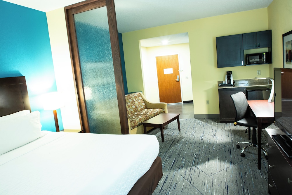غرفة قياسية بسرير كينج، Holiday Inn Express & Suites Harrisburg W - Mechanicsburg 3/10