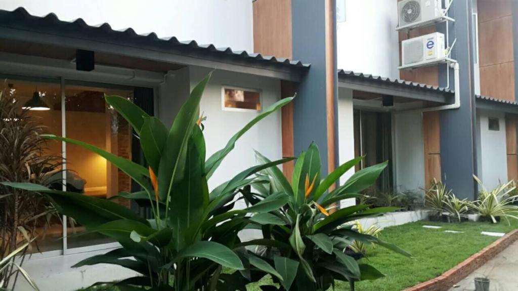 Z2 Boutique Hotel 50/56