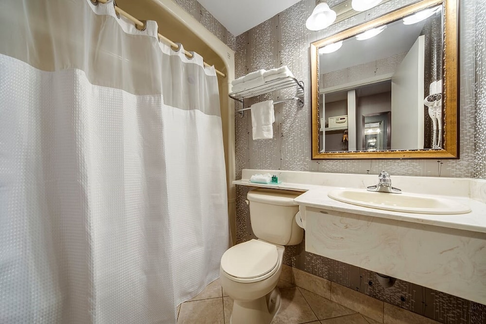 Monte Carlo Inn Brampton Suites 24/54