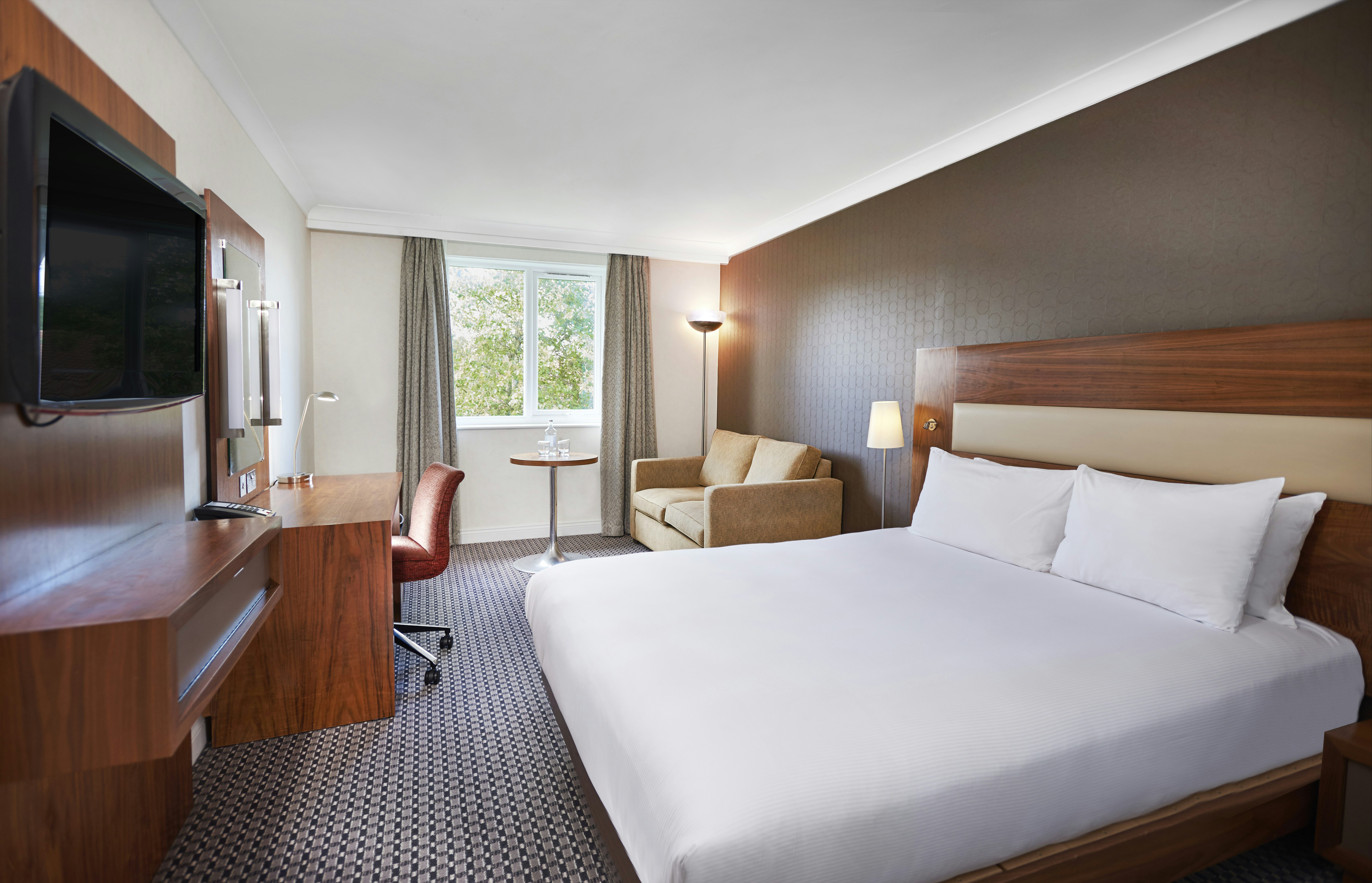GUEST ROOM, FAMILY, KING BED