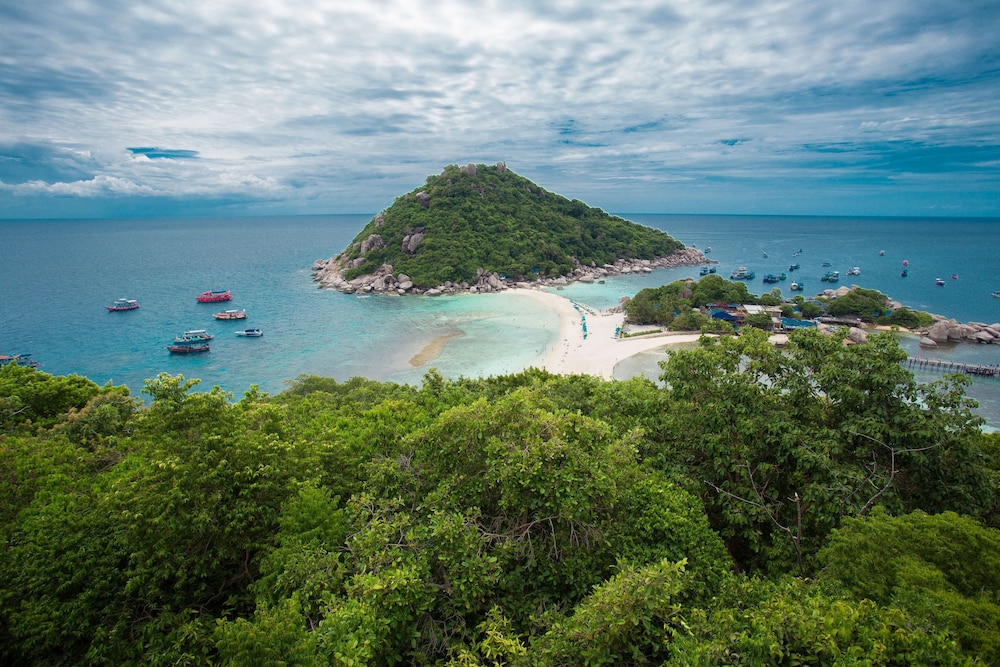 The Ozo Koh Tao 41/50
