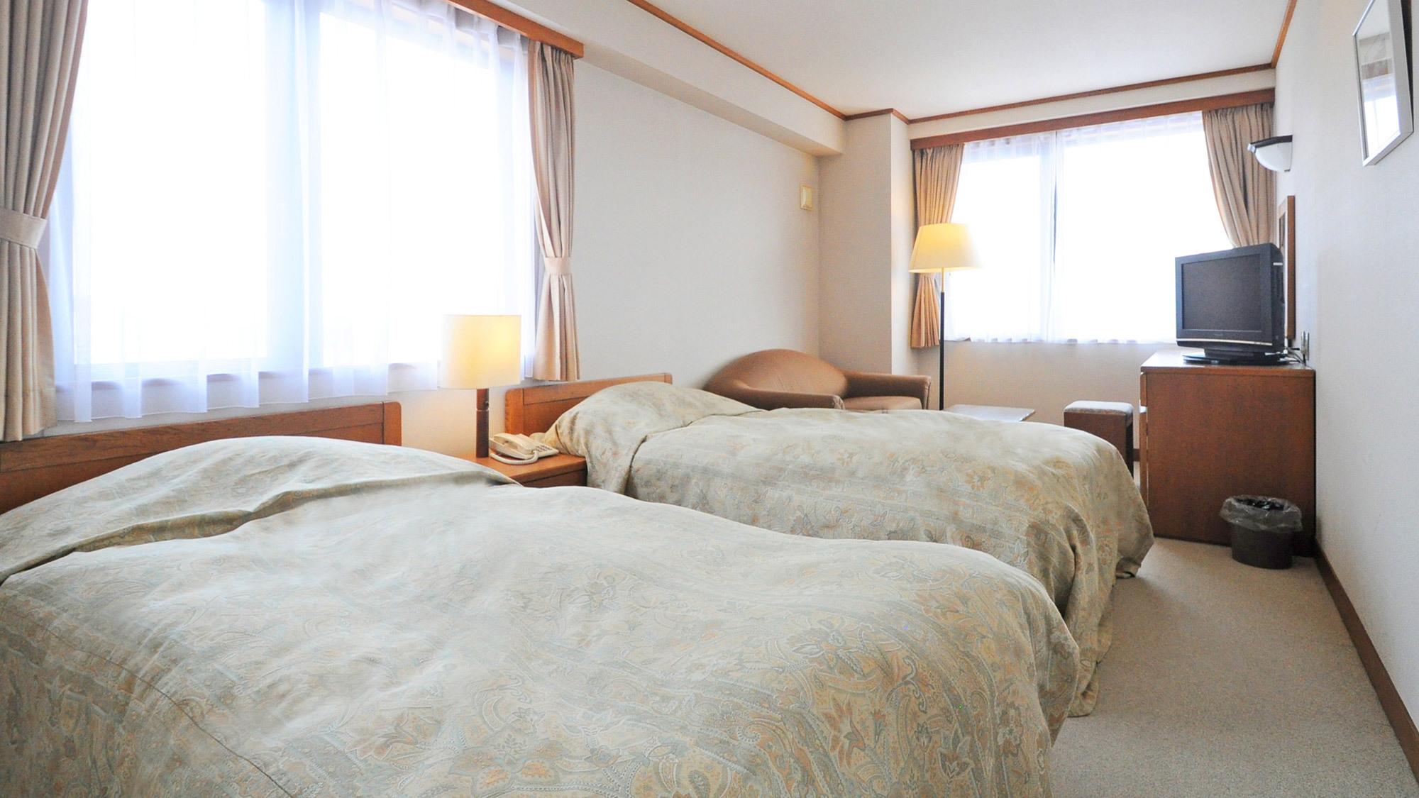 Standard, Twin Beds, Mountain View, New Wing