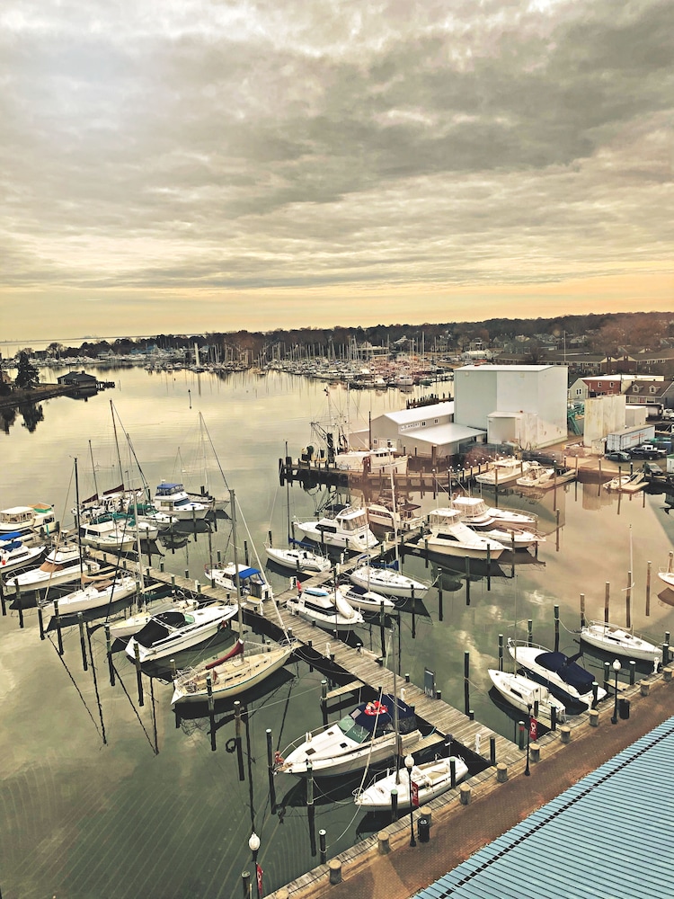 The Landing At Hampton Marina Tapestry Collection By Hilton 47/48