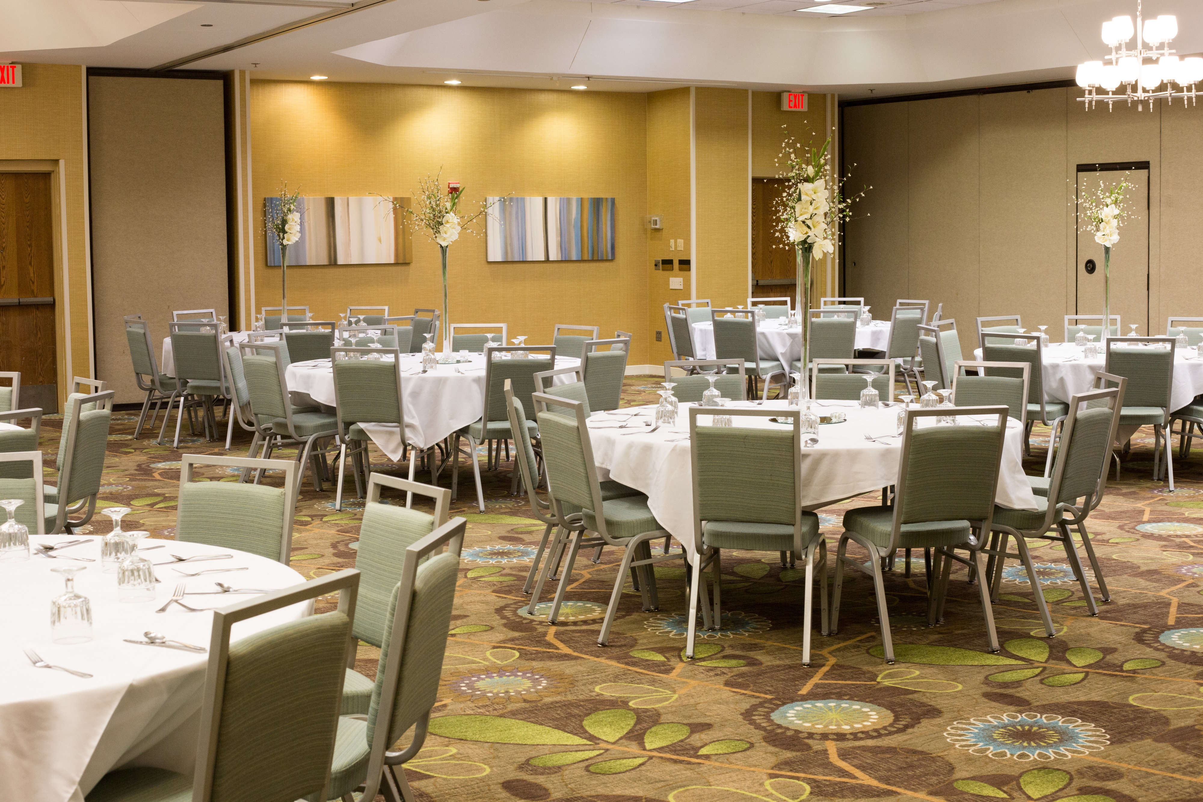 Holiday Inn Hotel Suites Bolingbrook 59/66