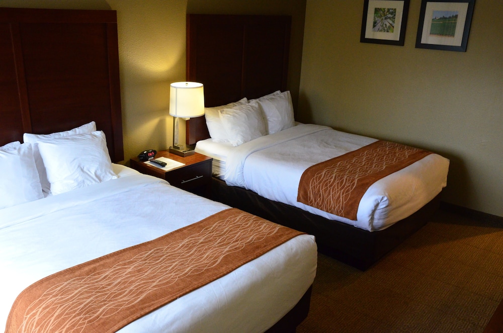 Comfort Inn & Suites Beaverton - Portland West 15/41