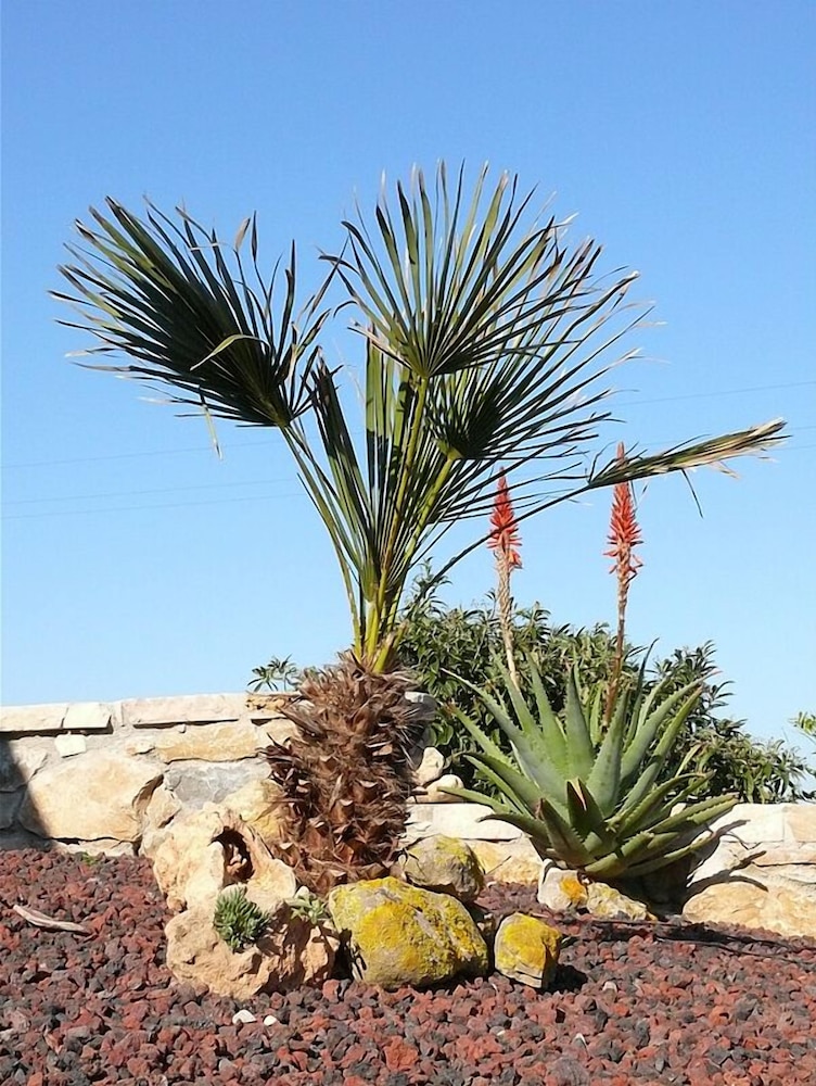 Agriturismo Agave Alghero 24/30