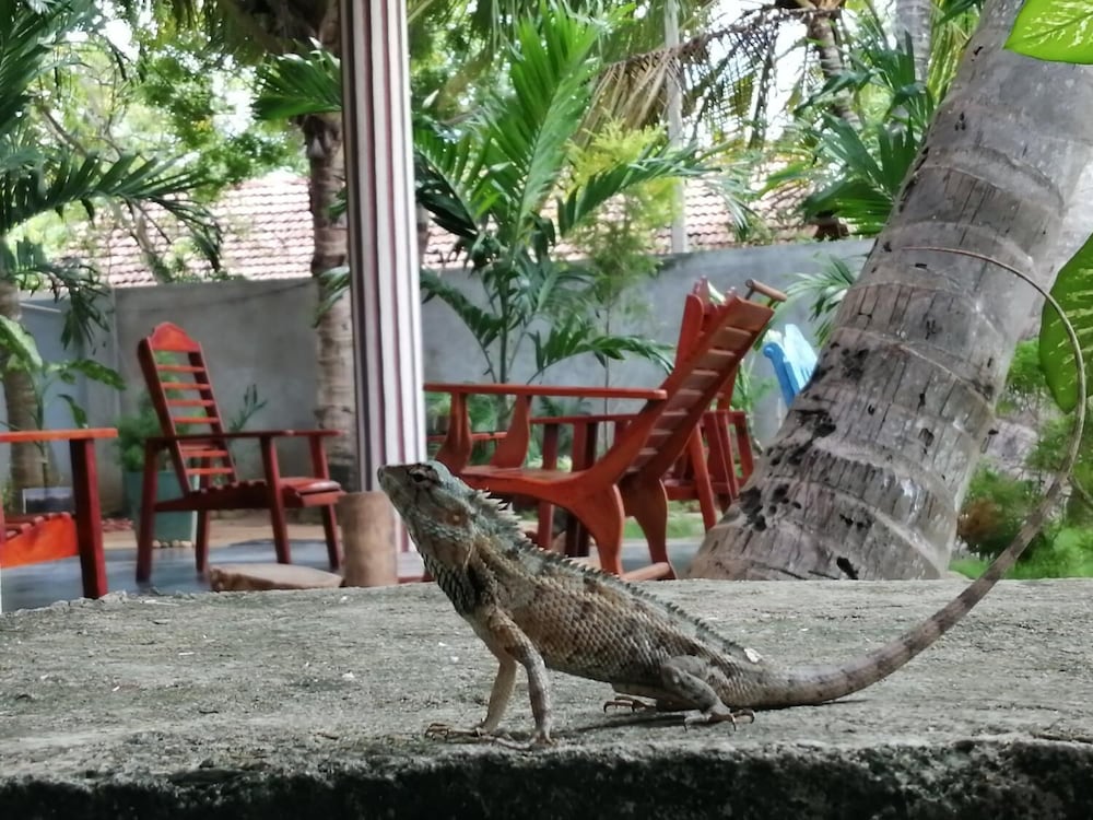 Viveka Inn Guest 11/43