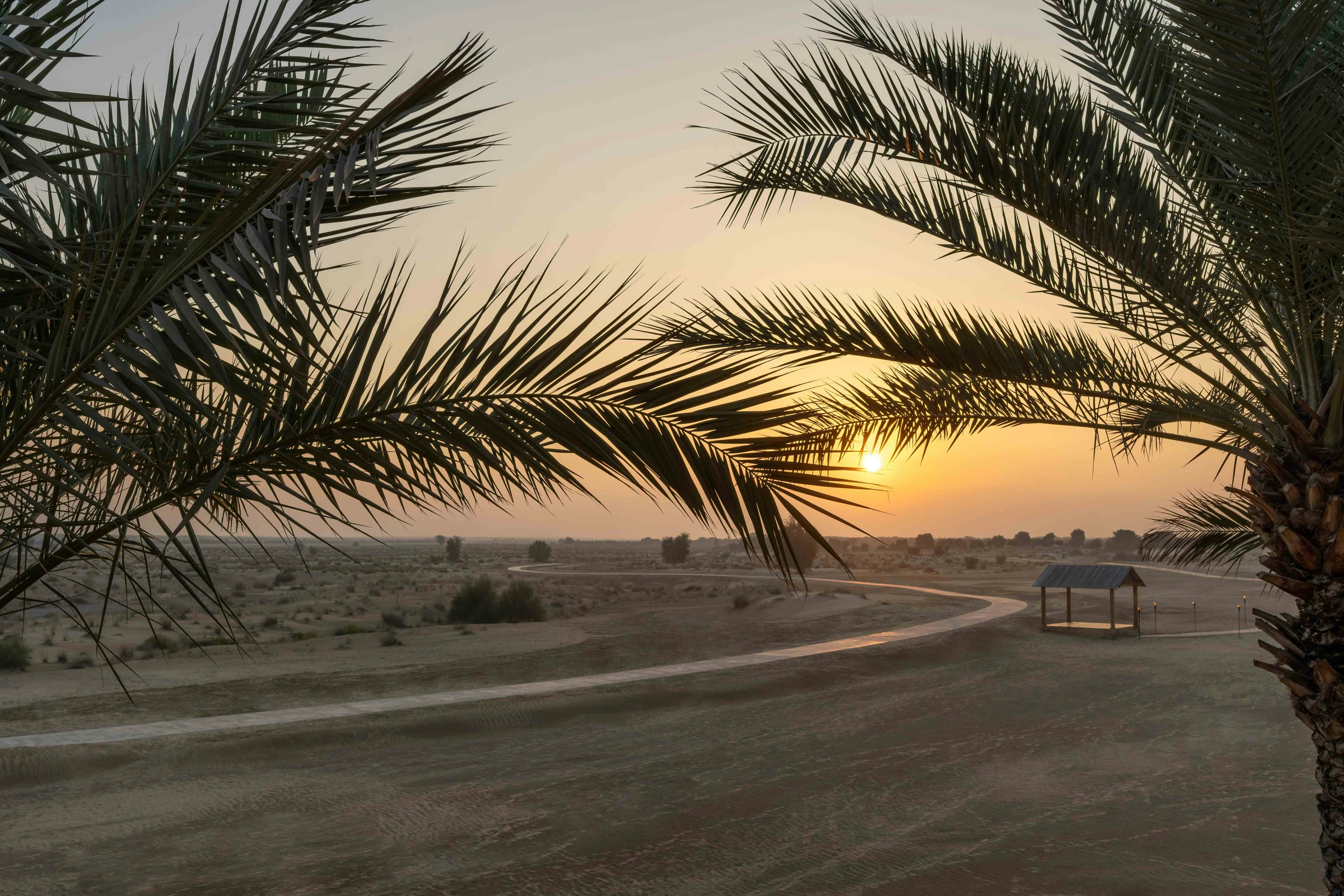 Bab Al Shams Desert Resort and Spa 34/50