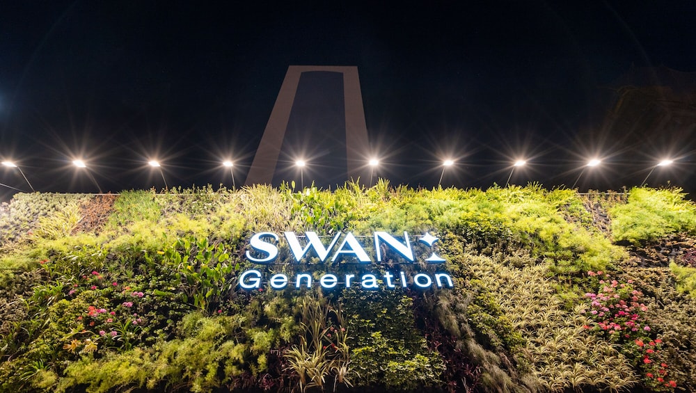 Swan Generation 47/49