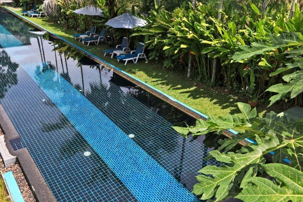 Tea Tree Spa Resort 69/82
