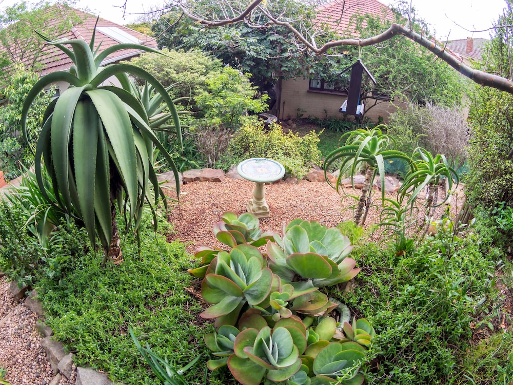 Mackaya Bella Guest House 59/71