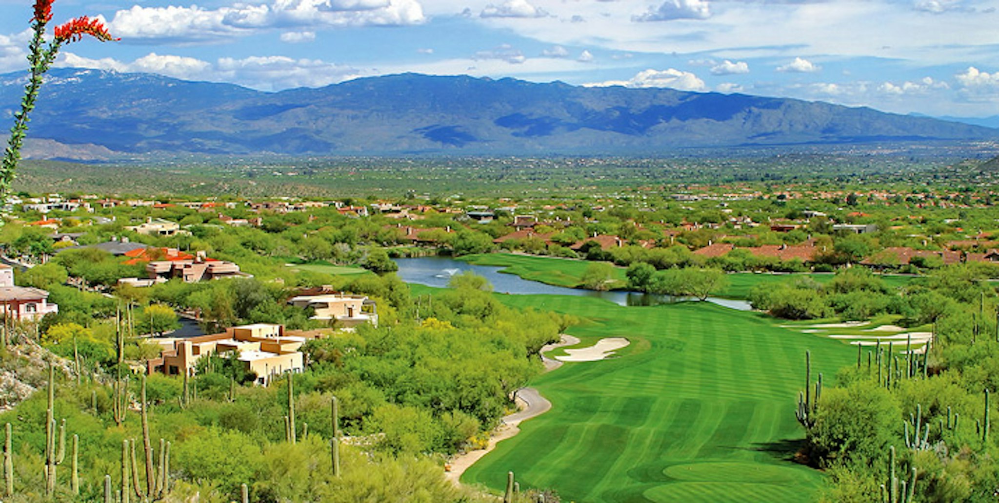 Loews Ventana Canyon Resort 96/99