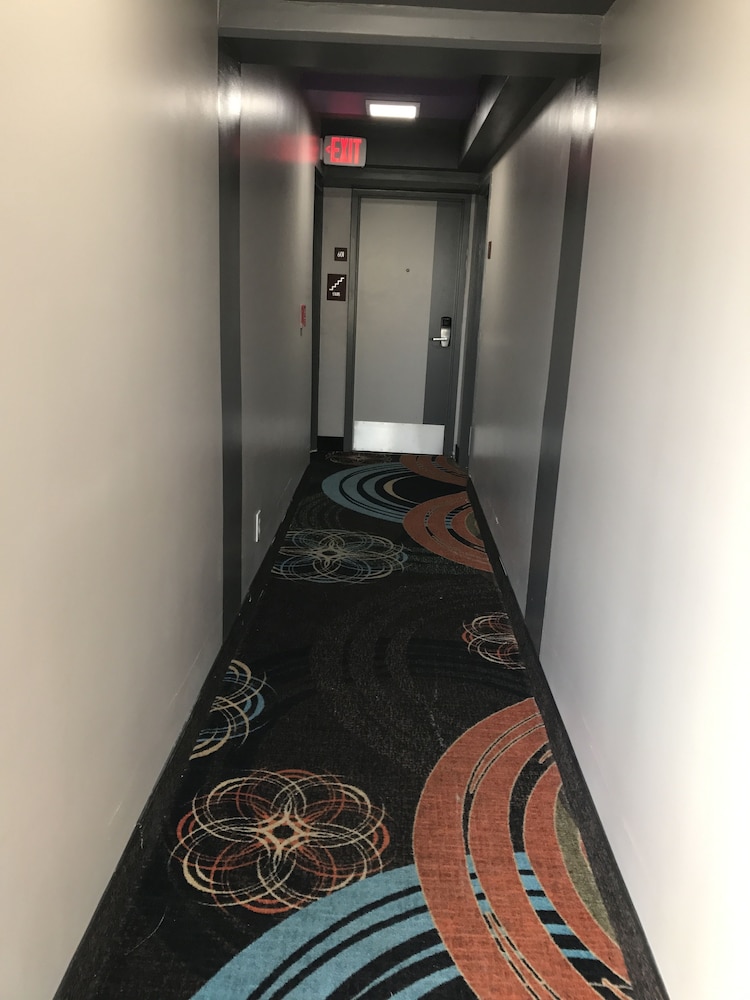 Spark by Hilton Virginia Beach Oceanfront photo3