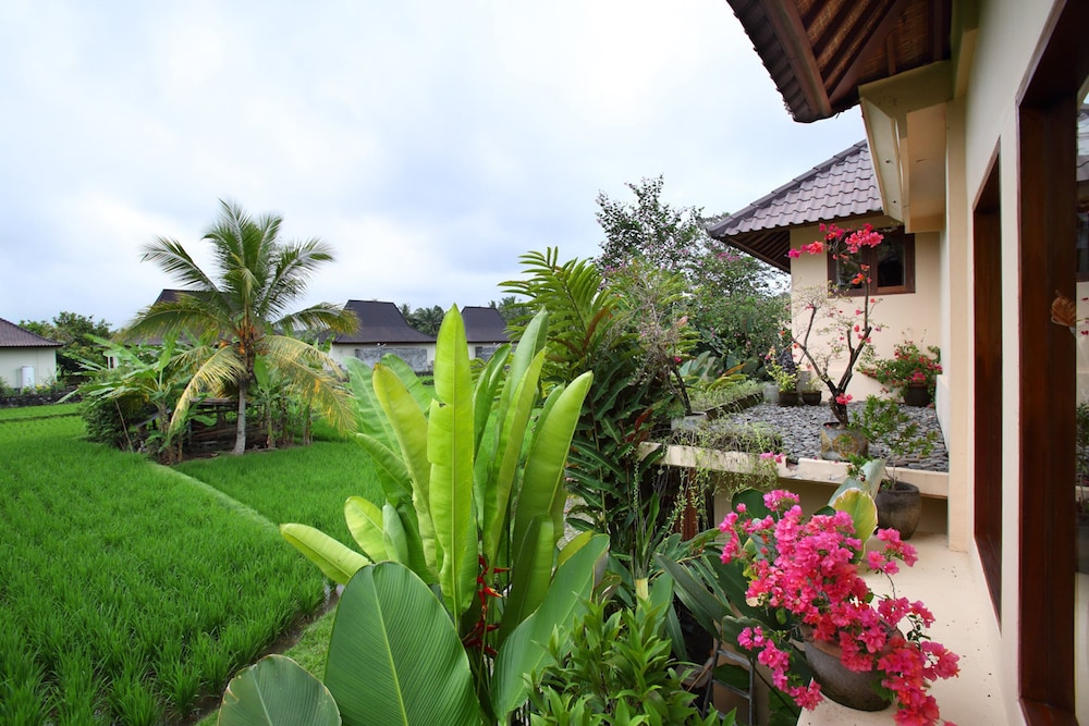 Satori Villas 44/50