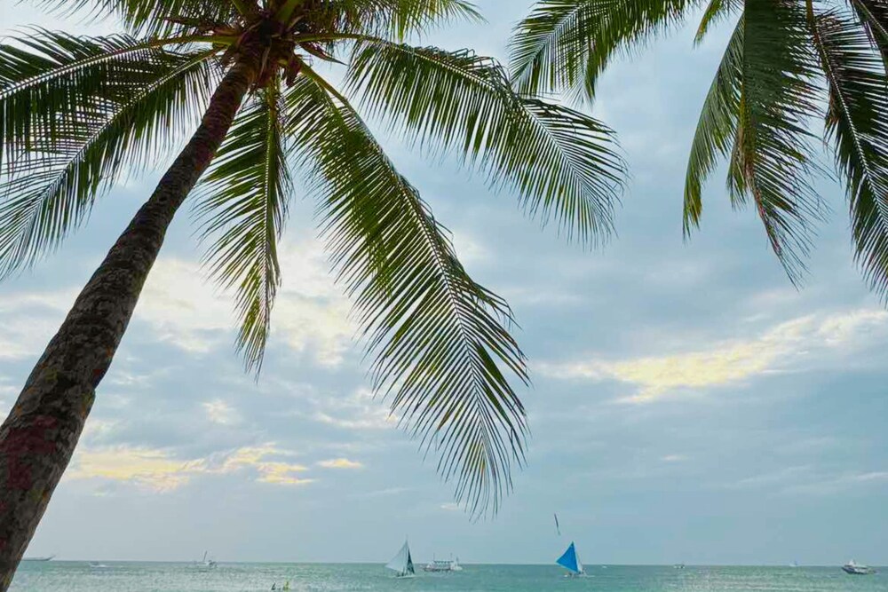 The Muse Beach Front Hotel Boracay 45/50