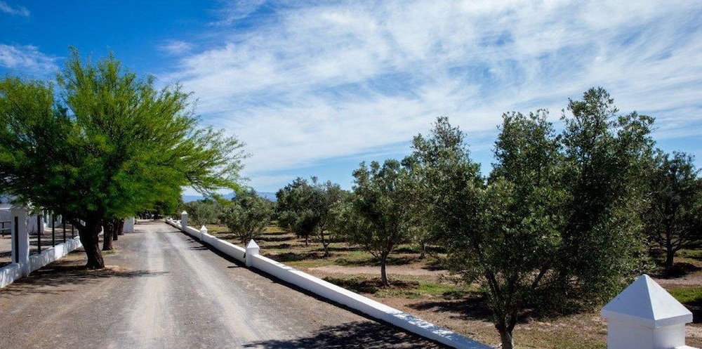 Olive Grove Guest Farm 34/50