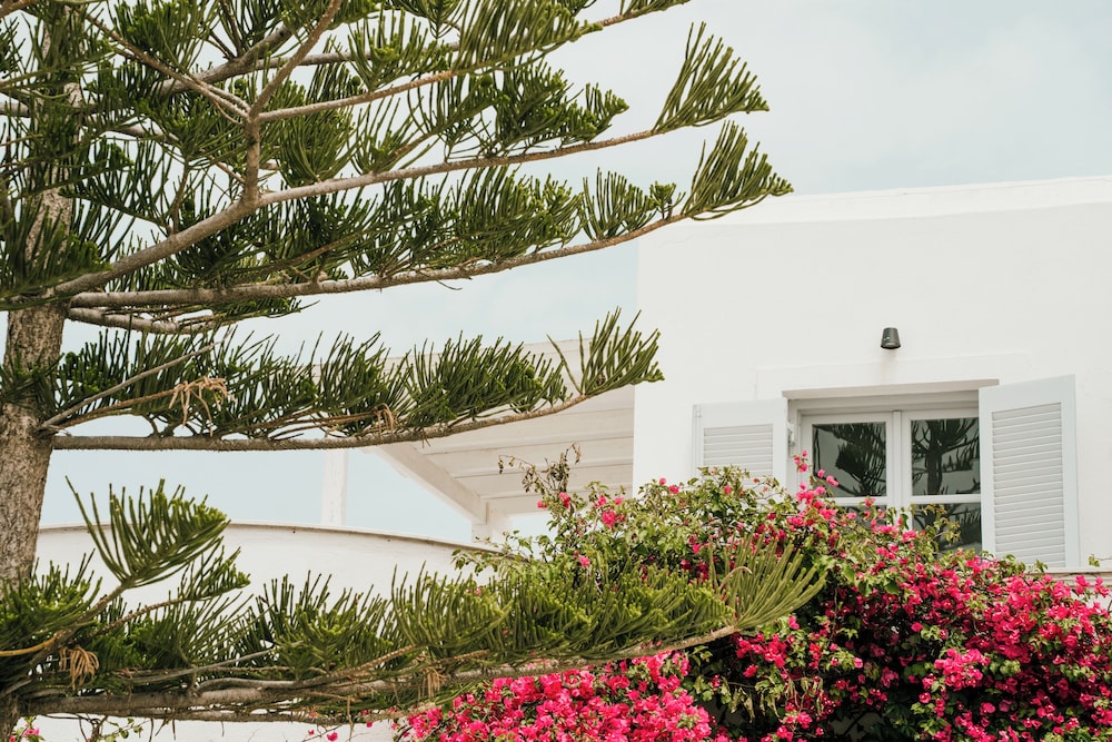Sunrise Paros by Mr and Mrs White 28/38