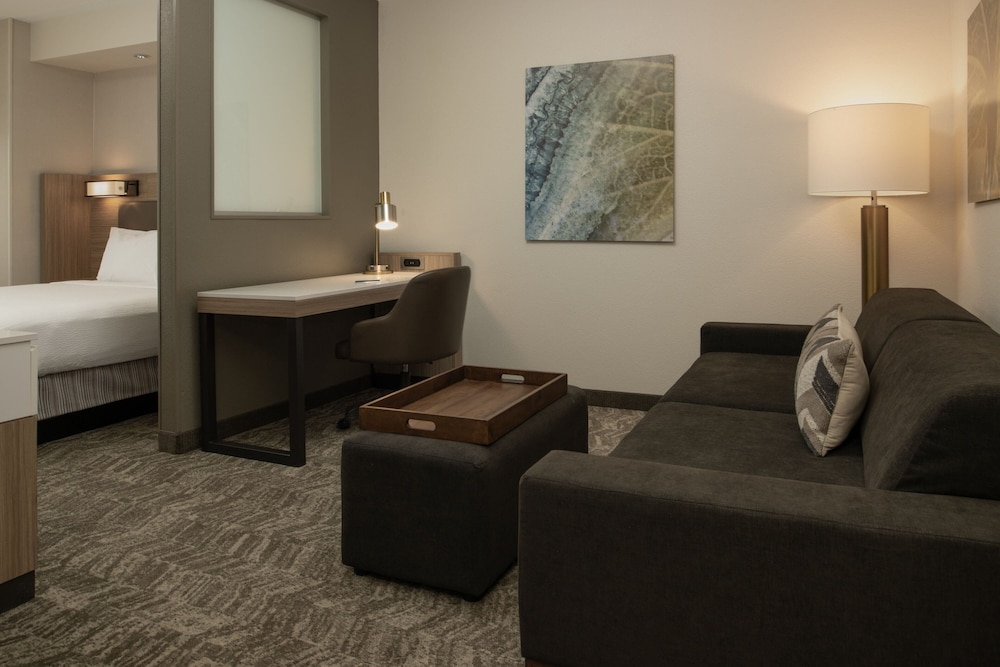 Springhill Suites By Marriott 26/46
