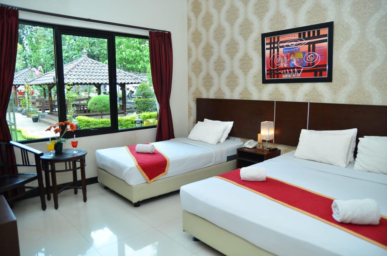 Hotel Gerbera 11/40