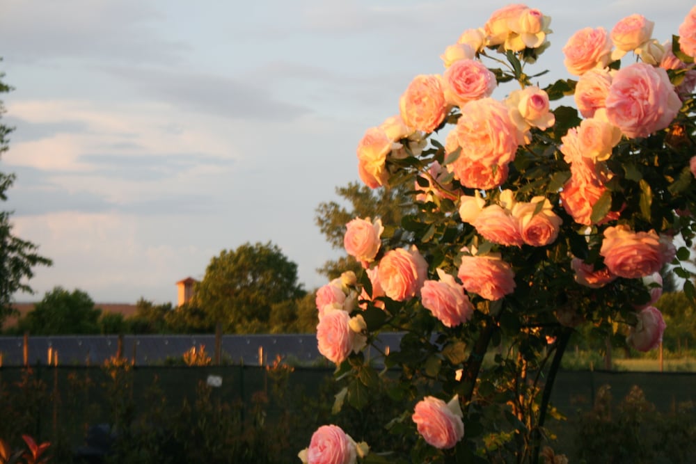 Agriturismo Argaland 44/50