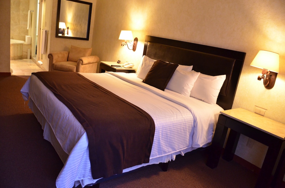 Hotel Gobernador 16/49