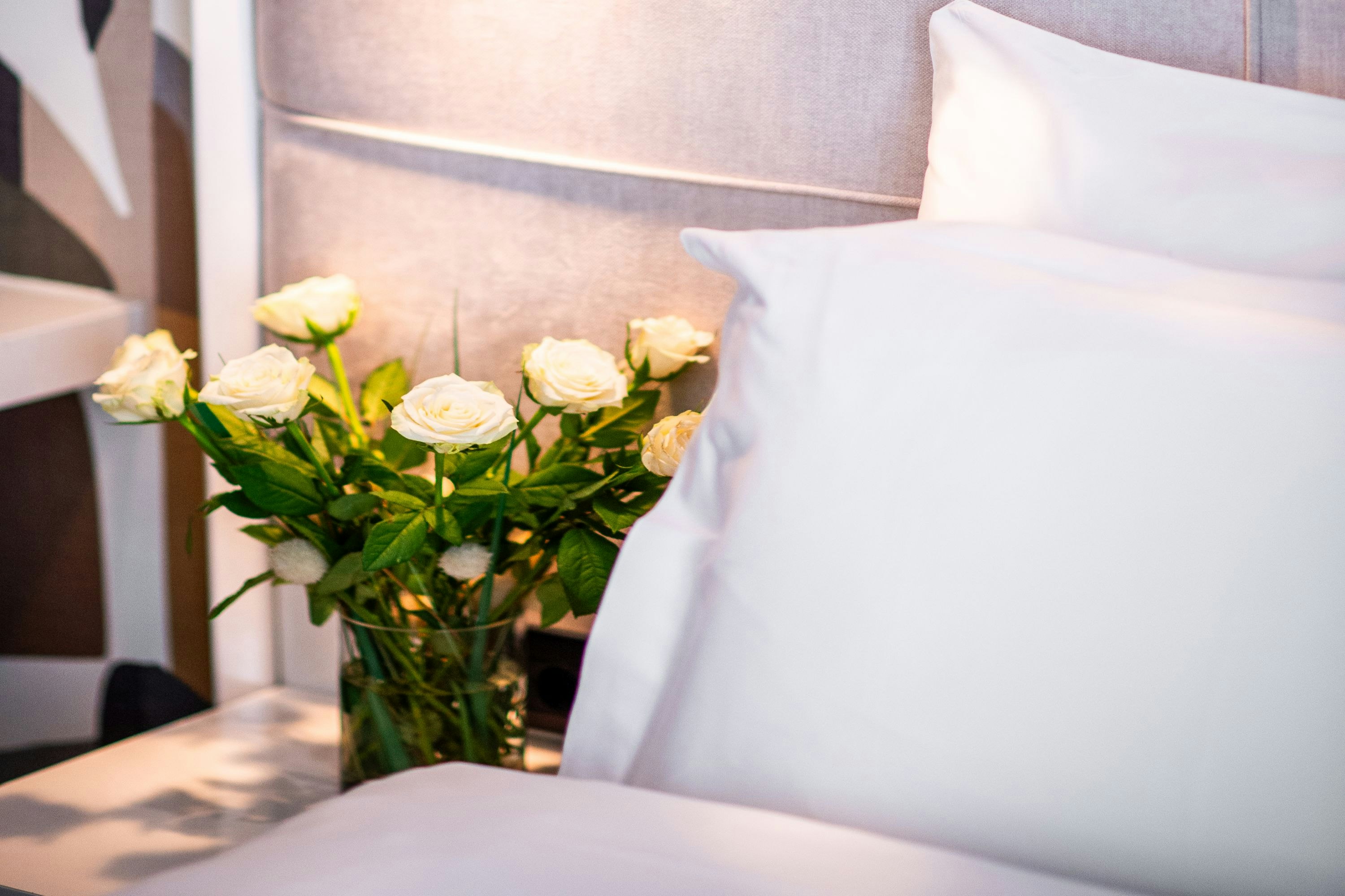Crystal hotel Belgrade 33/51