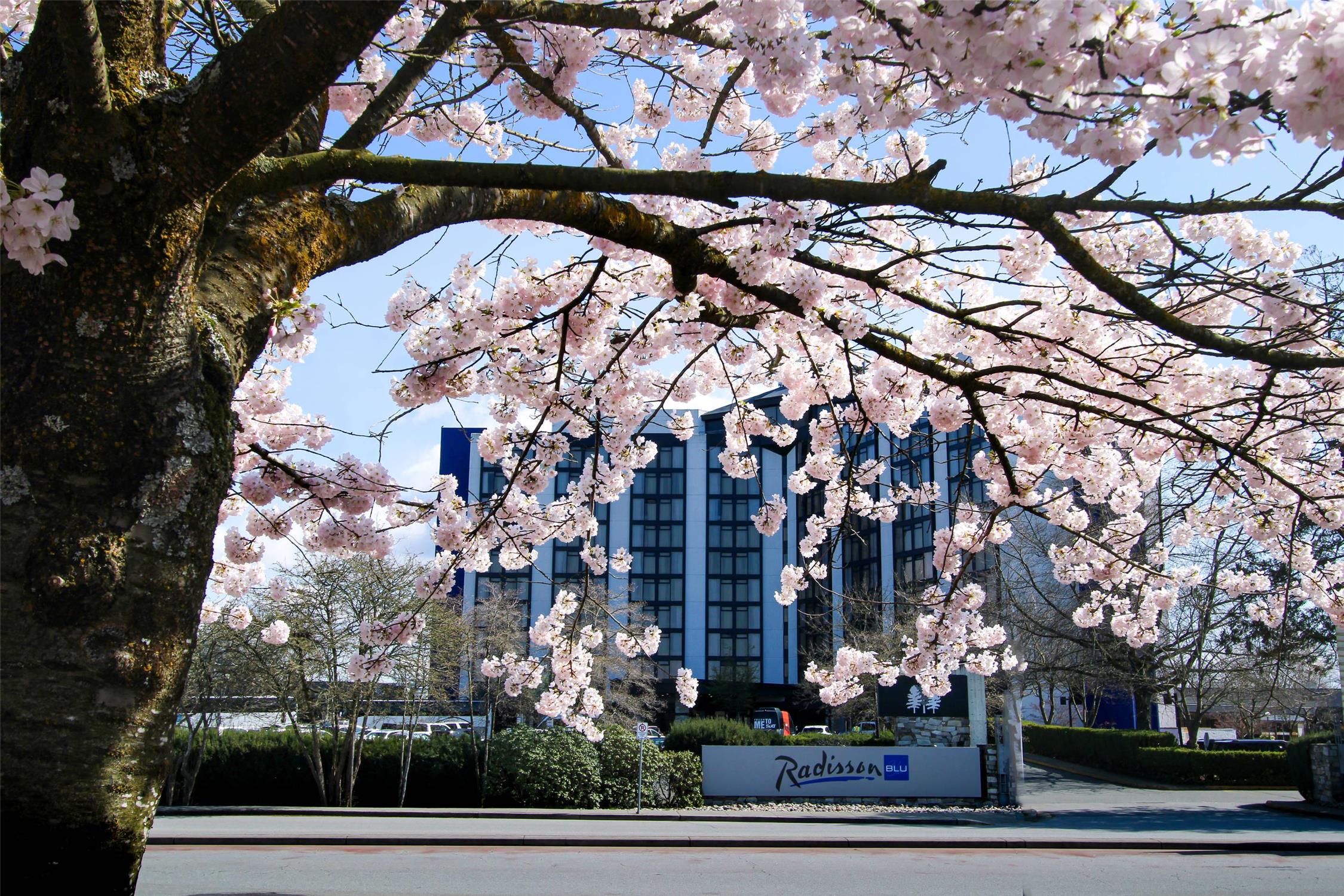 Radisson Blu Vancouver Airport Hotel & Marina 10/45