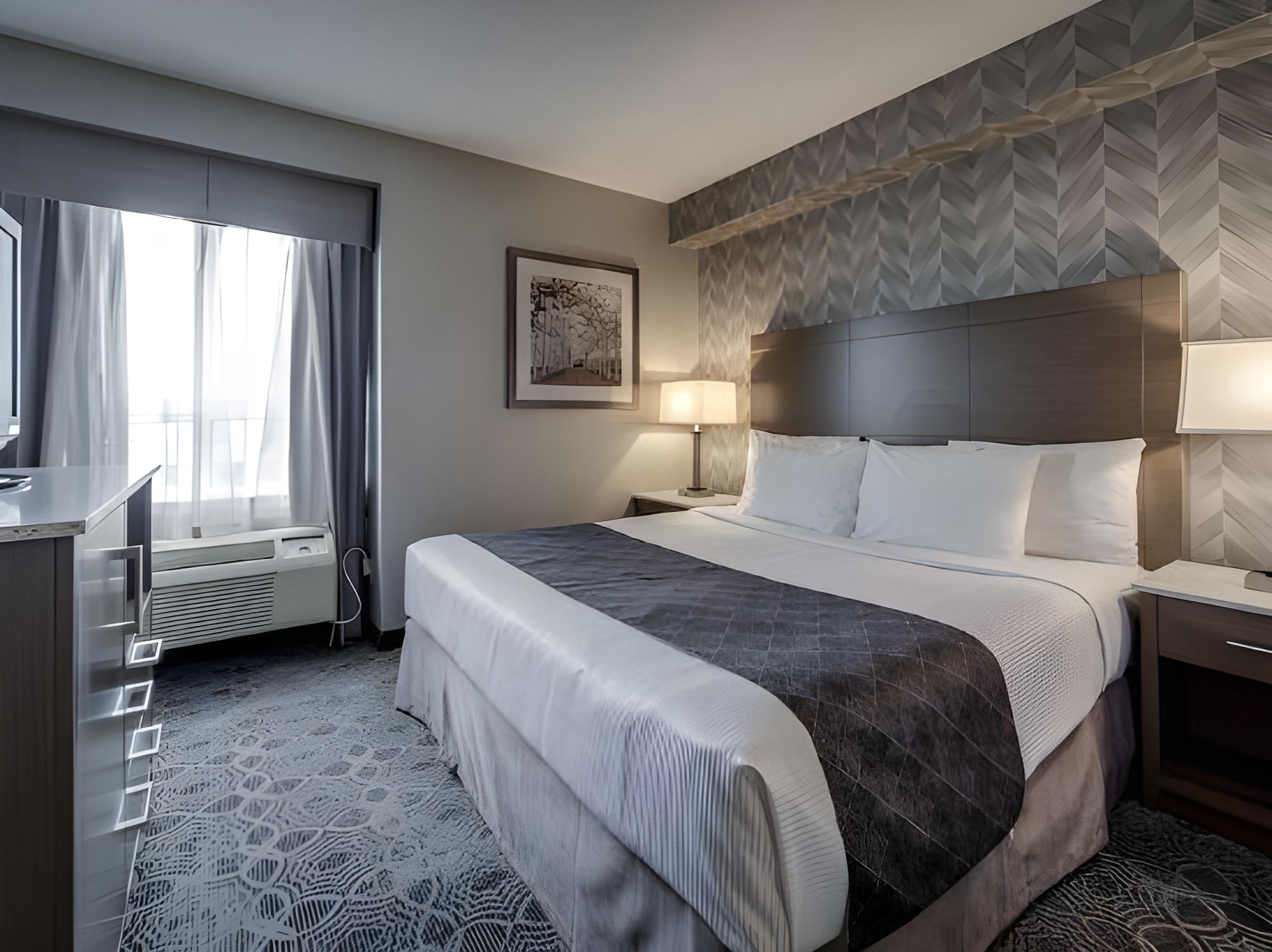 Studio, Suite, King Bed, Sofa